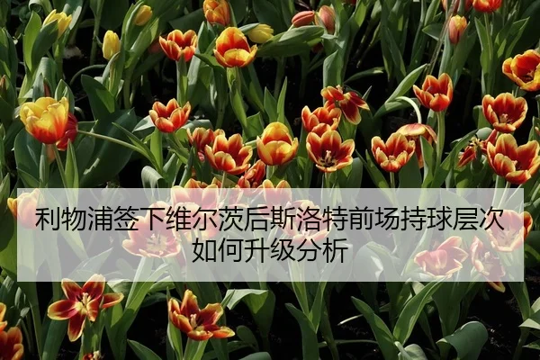 利物浦签下维尔茨后斯洛特前场持球层次如何升级分析