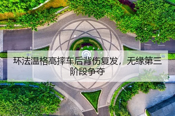 huan-fa-wen-ge-gao-shuai-che-hou-bei-shang-fu-fa-wu-yuan-di-san-jie-duan-zheng-duo-2-106.jpg